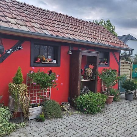 Apartmán Au Gre De L'Ill "Les Toits D'Horbourg" Exteriér fotografie