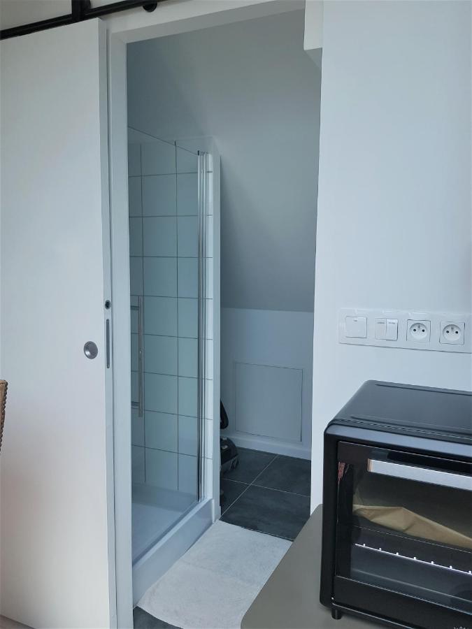 Apartmán Au Gre De L'Ill "Les Toits D'Horbourg" Exteriér fotografie