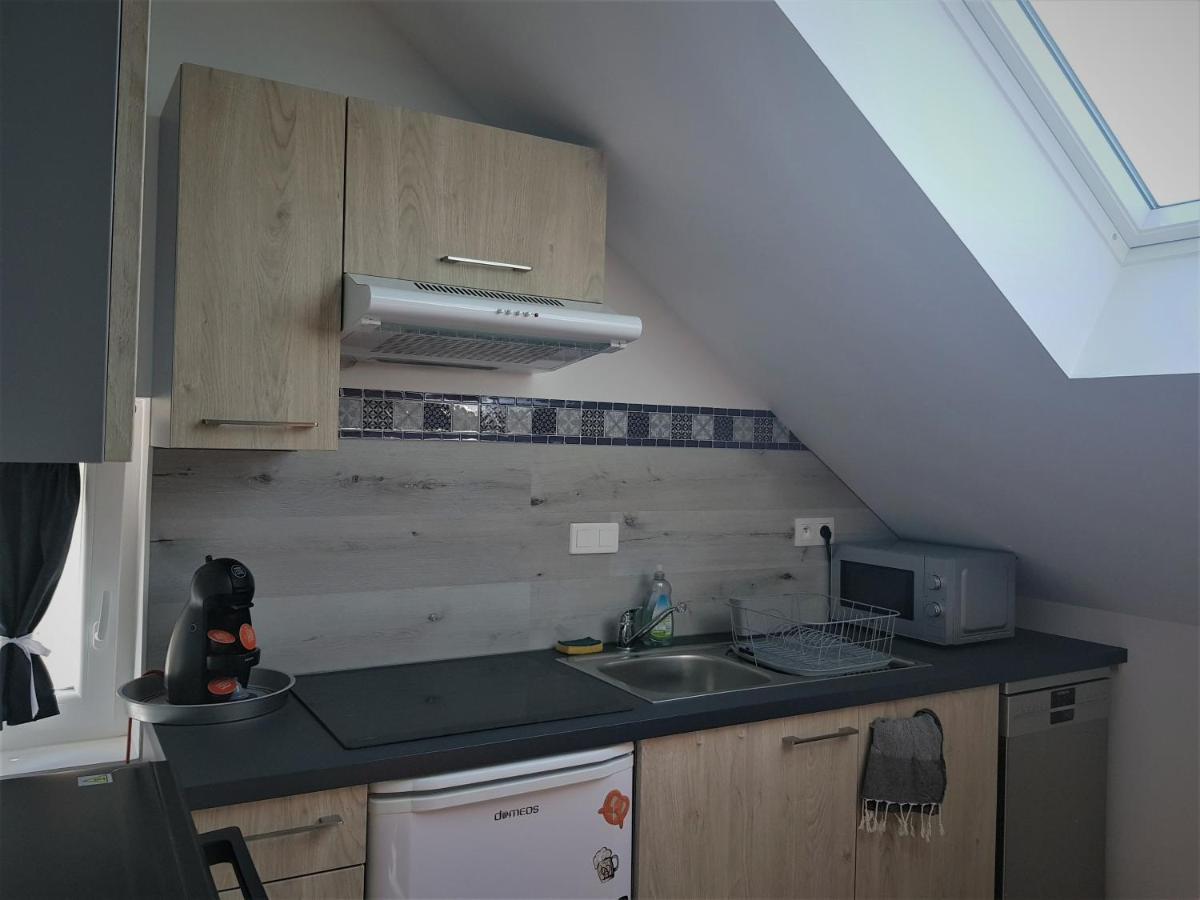 Apartmán Au Gre De L'Ill "Les Toits D'Horbourg" Exteriér fotografie