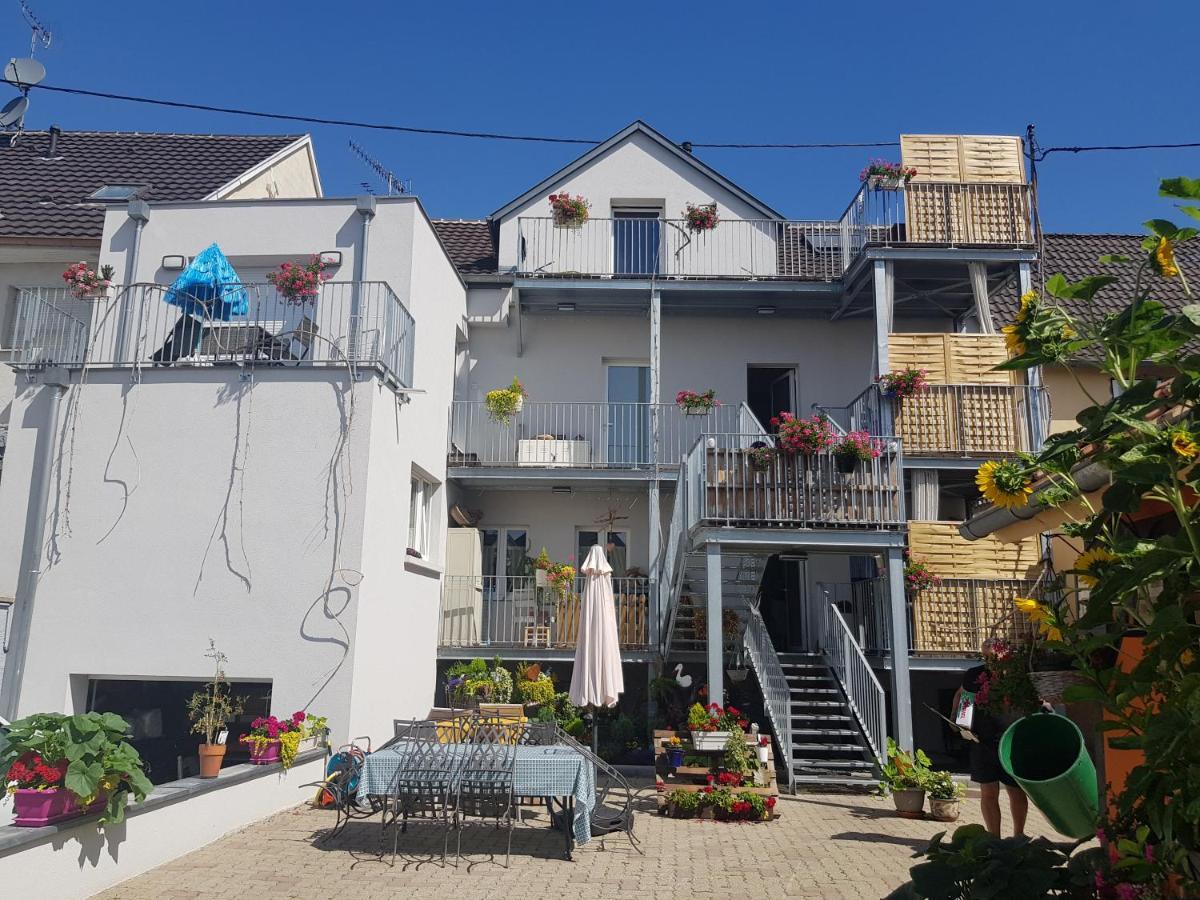 Apartmán Au Gre De L'Ill "Les Toits D'Horbourg" Exteriér fotografie