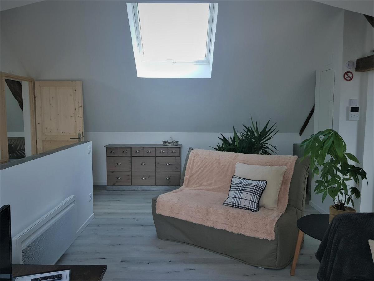 Apartmán Au Gre De L'Ill "Les Toits D'Horbourg" Exteriér fotografie