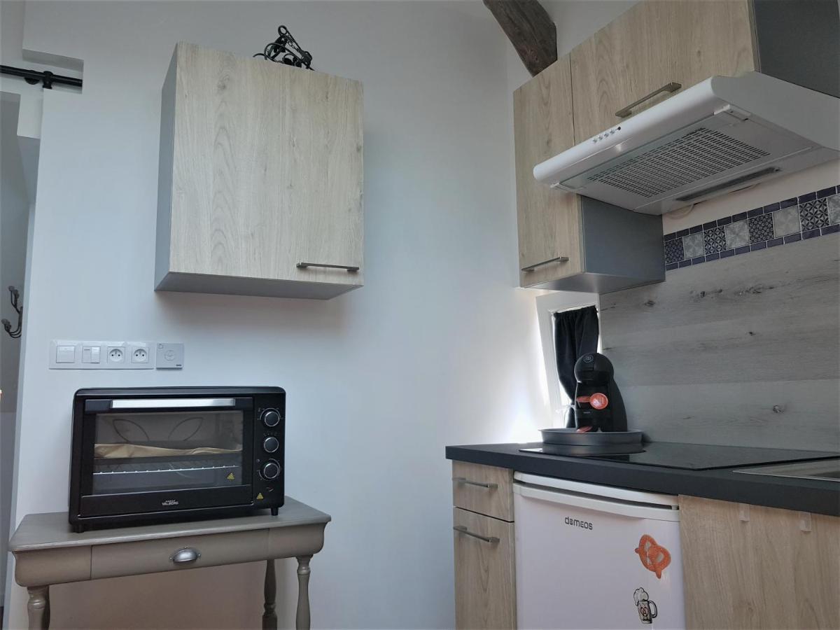 Apartmán Au Gre De L'Ill "Les Toits D'Horbourg" Exteriér fotografie