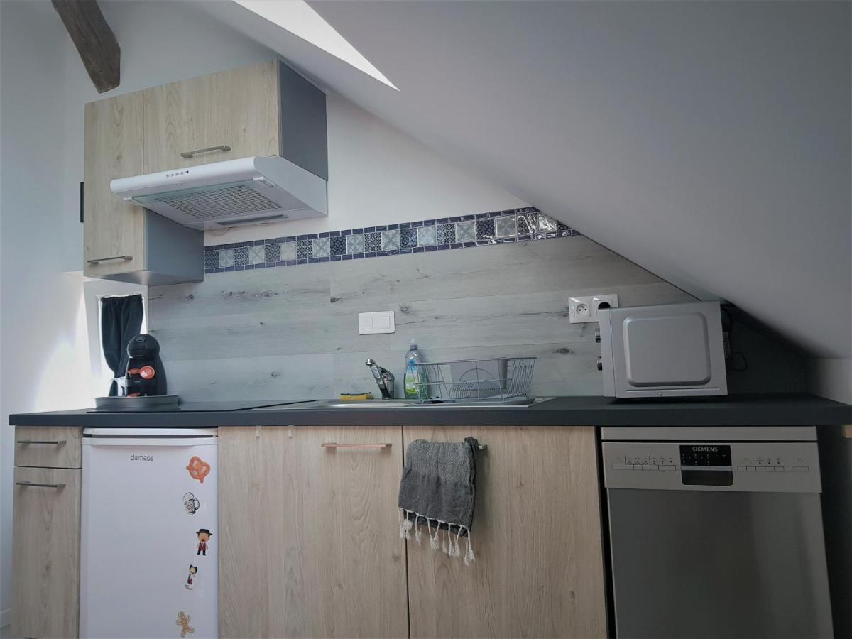 Apartmán Au Gre De L'Ill "Les Toits D'Horbourg" Exteriér fotografie