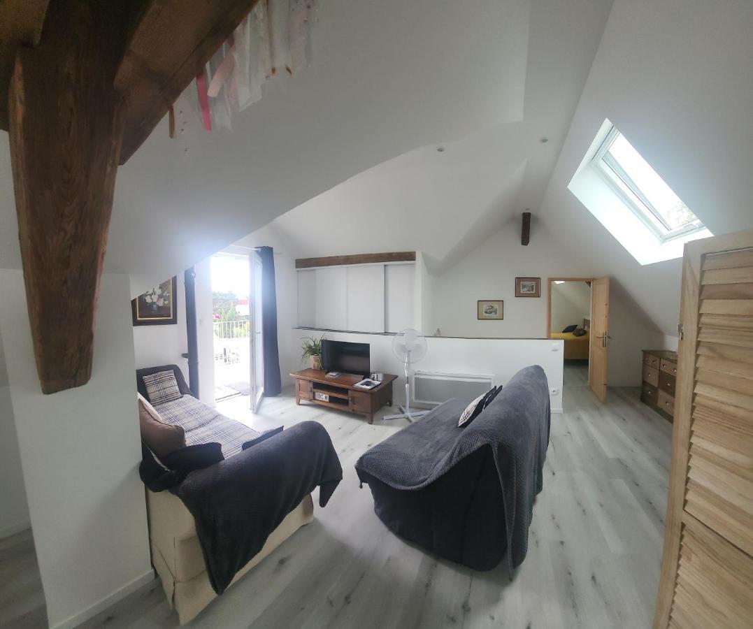 Apartmán Au Gre De L'Ill "Les Toits D'Horbourg" Exteriér fotografie